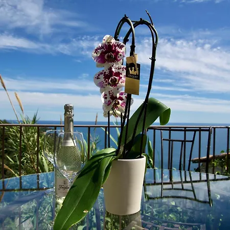Petit Coin De Paradis A Cote De Monaco Villa Roquebrune-Cap-Martin